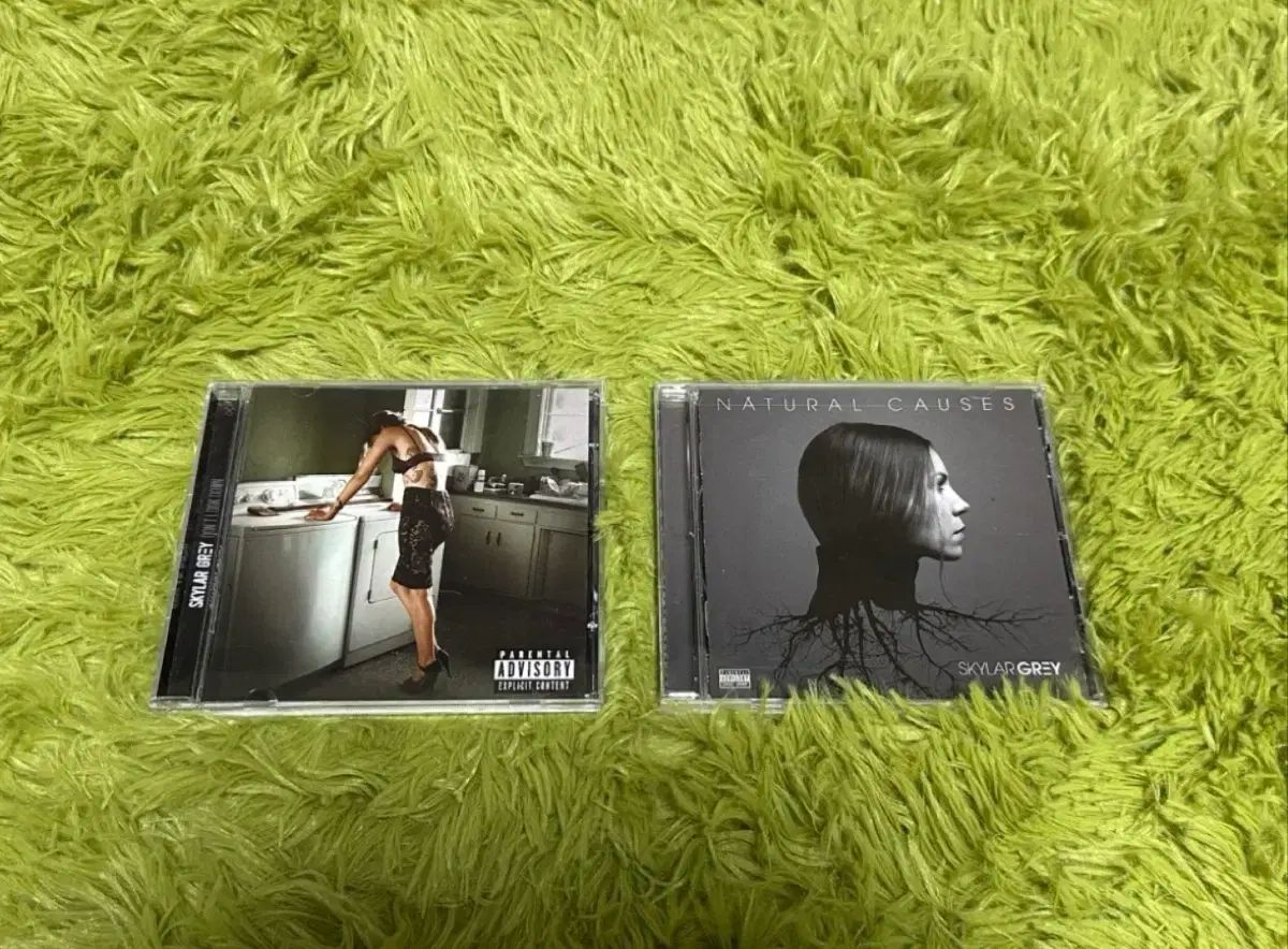 Skylar Grey スカイラー グレー 1 家 2 まとめ売り