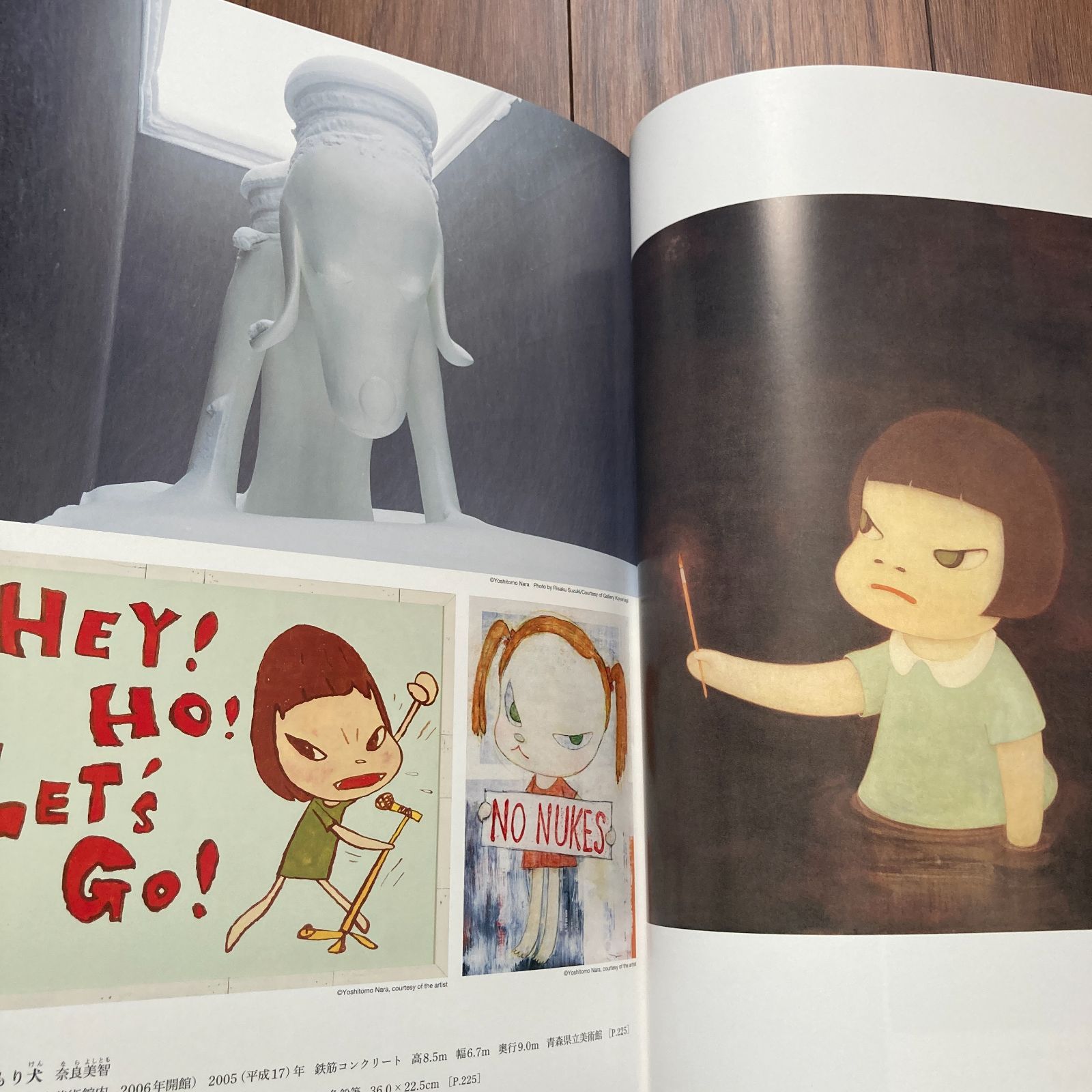 日本美術全集20 日本美術の現在・未来 一九九六〜現在 小学館 人気