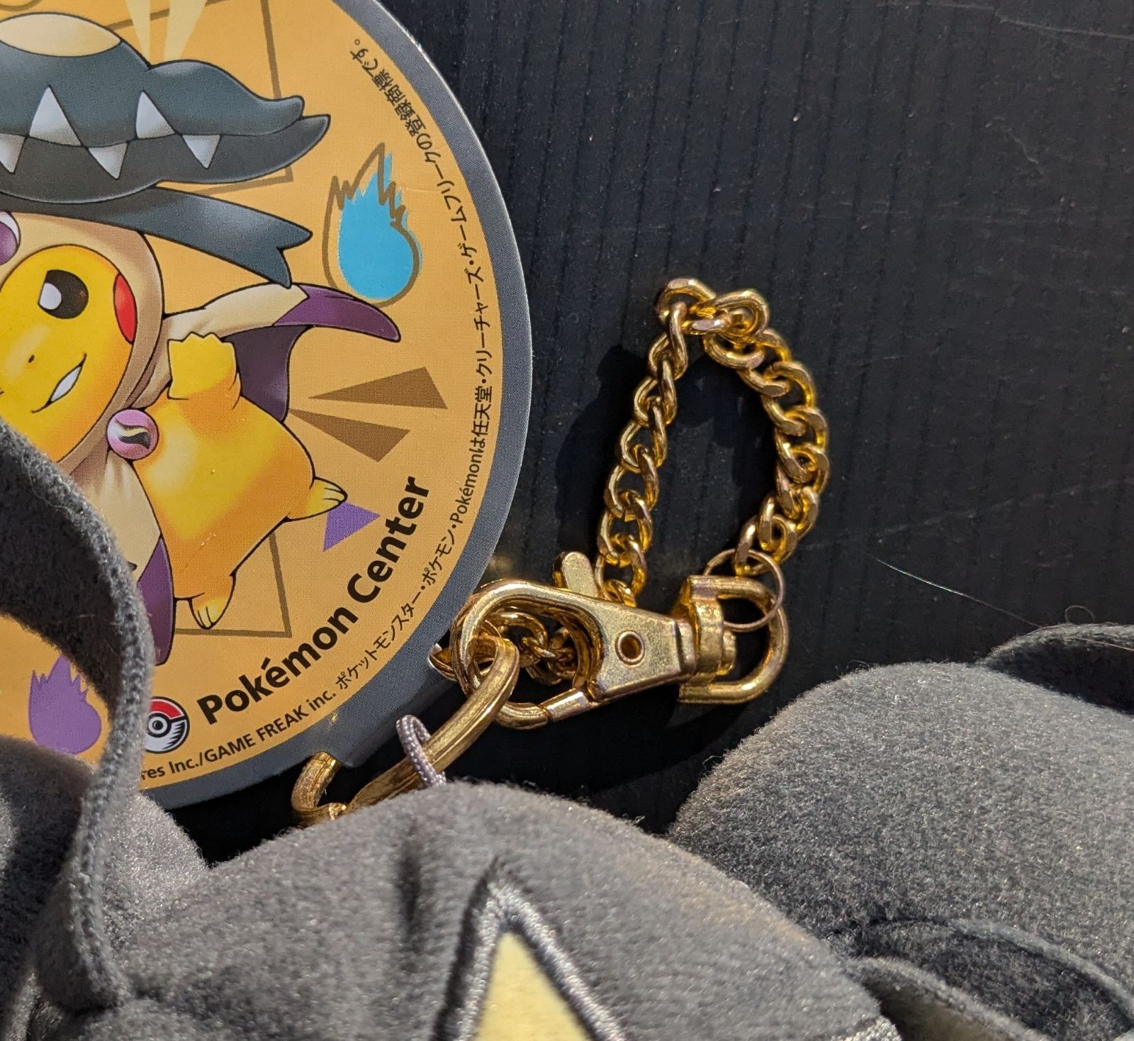 メガクチートのポンチョを着たピカチュウ #クチート #ピカチュウ