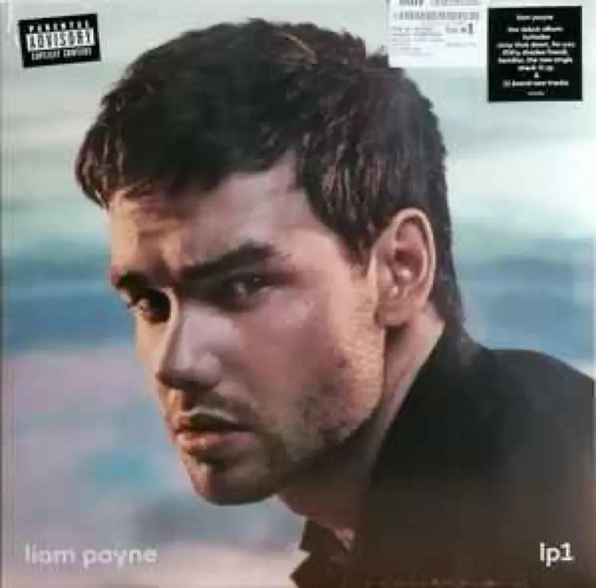 リアム ペイン liam payne lp 1 ブルーカラー 単純開封