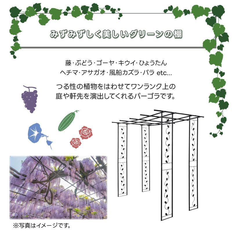 リビングアウト(Living Out) フルーツパーゴラ ブラック (小) 幅90x