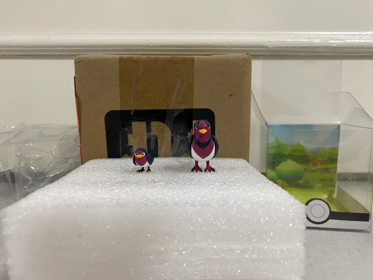 ポケットモンスター スケールワールド 1|20 レジン FLF TEEN AGE RS Ver. セット