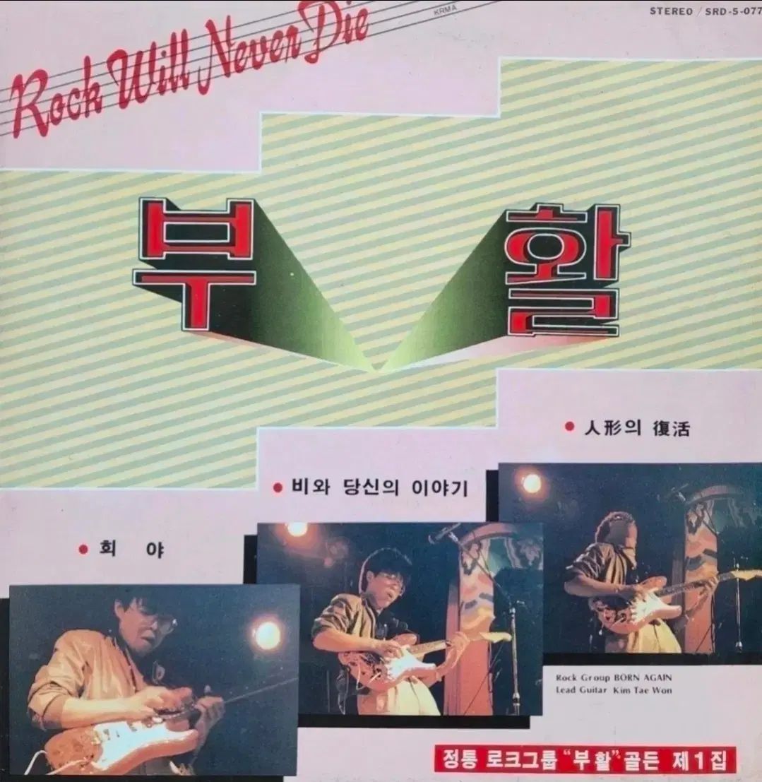 復活 1 家 LP キム テウォン その他