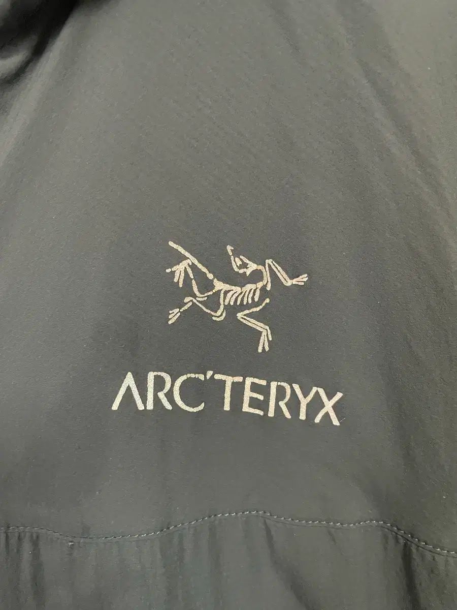 フード ウィンドブレーカー