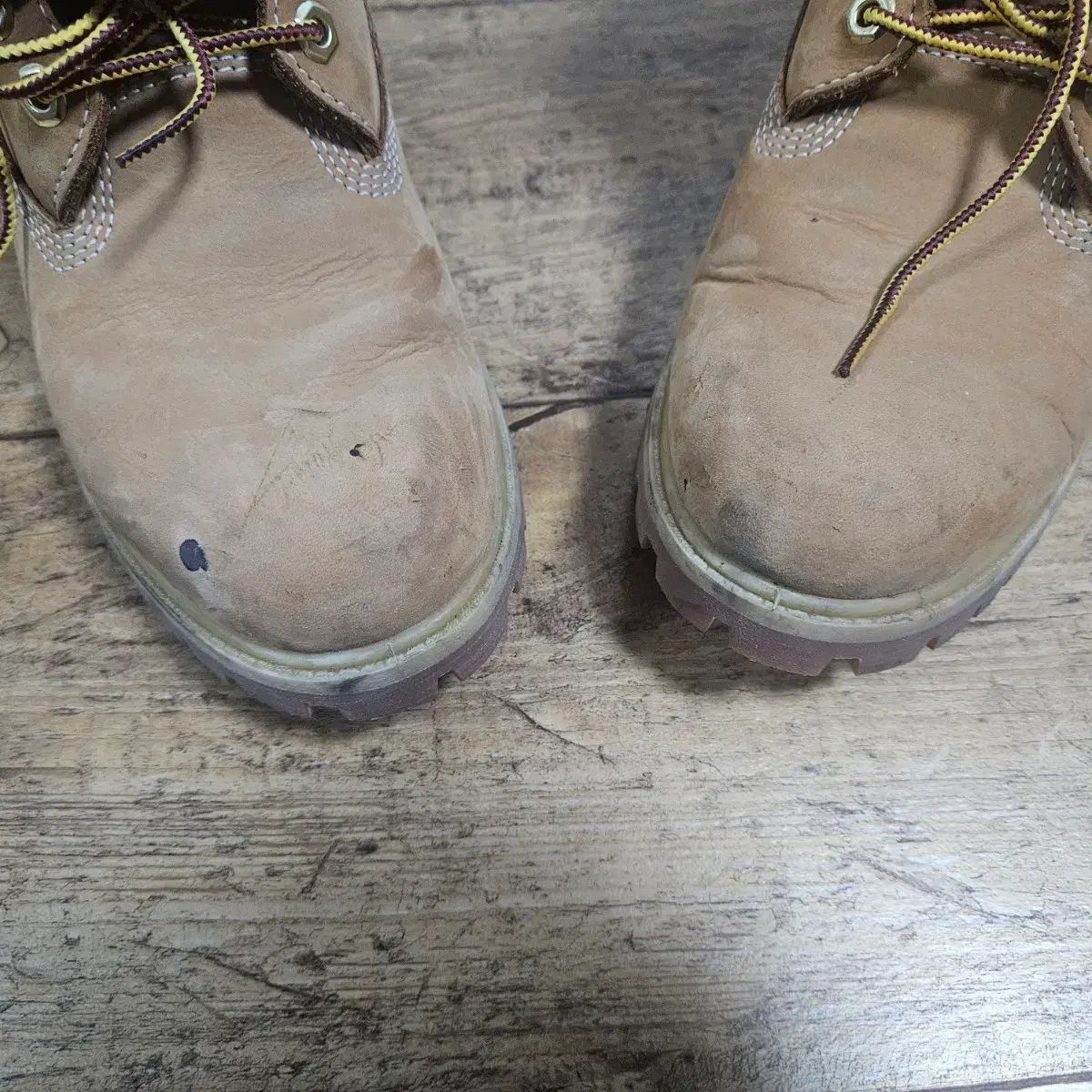  260 ティンバーランド 6インチ ウォータープルーフ ブーツ Wit ワイド その他 ブーツ 革靴