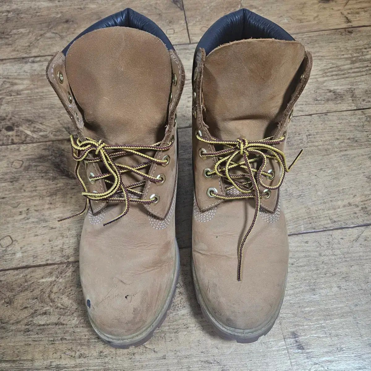 260 ティンバーランド 6インチ ウォータープルーフ ブーツ Wit ワイド