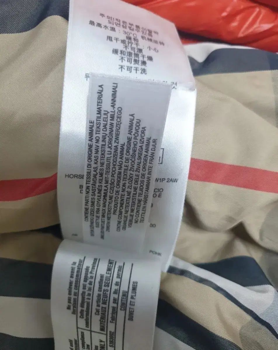 オレンジ ダウン