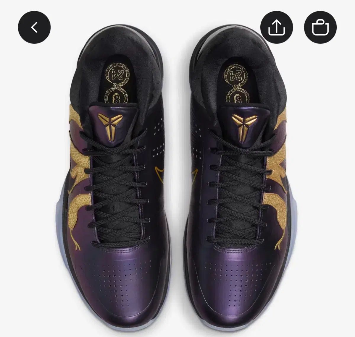 コービー V プロトロ Year of the Mamba Eggplant