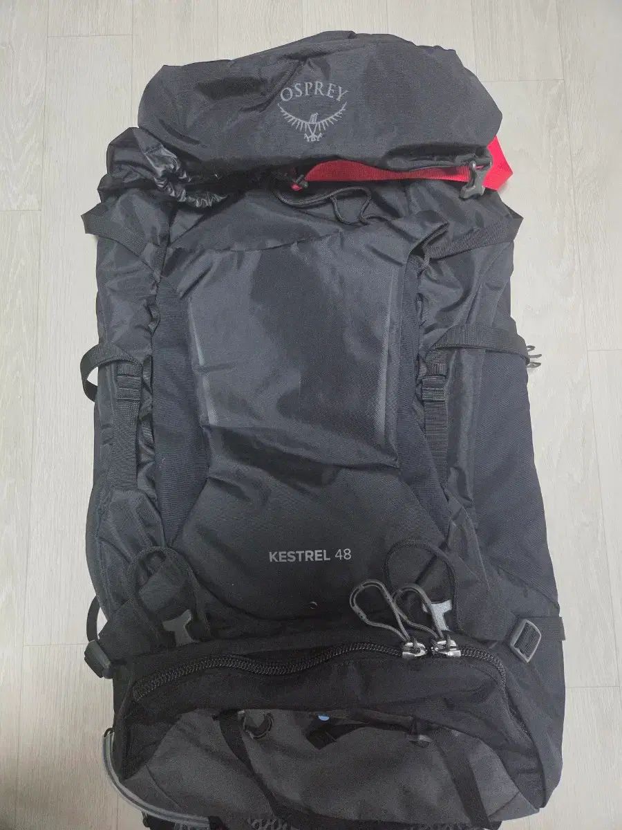 オスプレイ OSPREY Kestrel 48 リュックサック レインCOVER