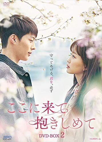 ここに来て抱きしめて DVD BOX 2