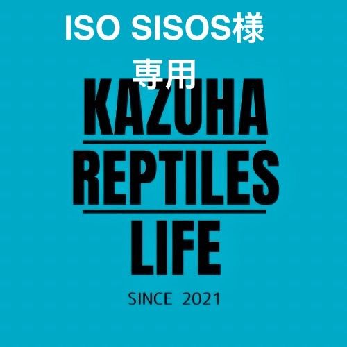 ISO SISOS様専用