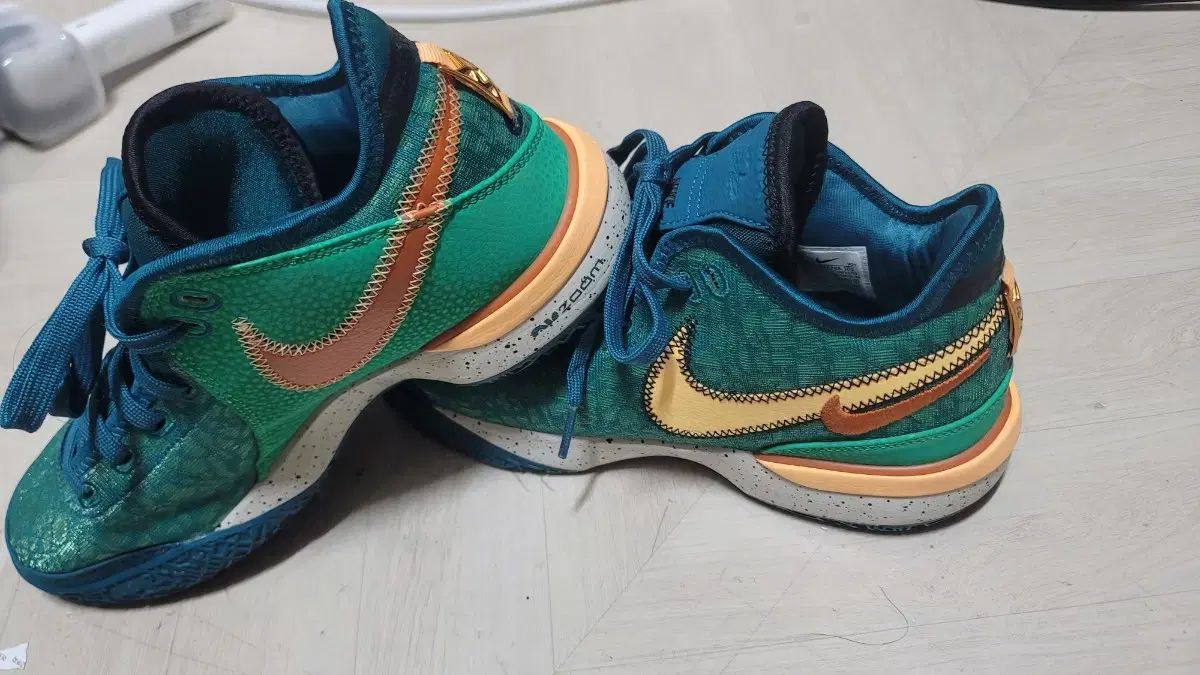 ナイキ ズーム レブロン NXXT GEN Geo De Till