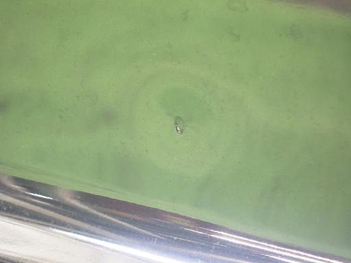 フロントバンパー