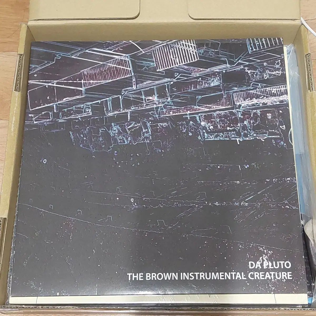 ダプルート foals