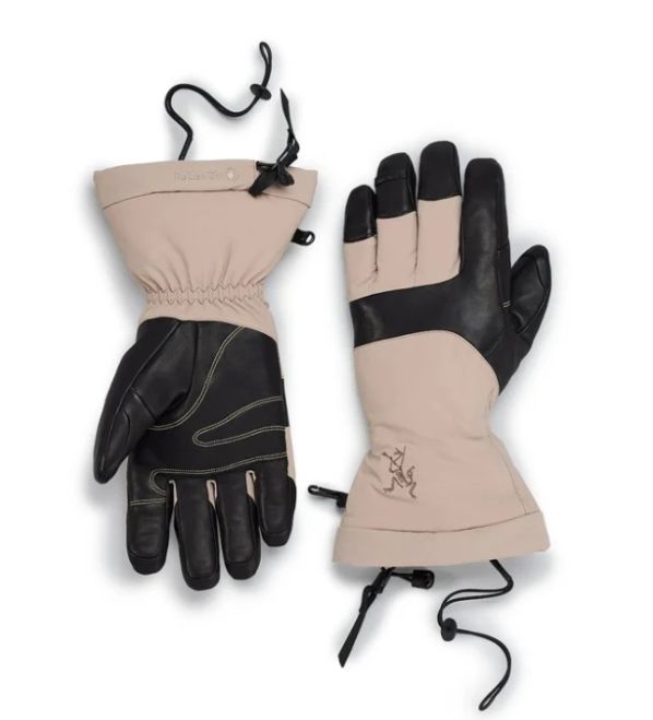 新品 タグ付き】アークテリクス フィション SV グローブ ゴアテックス