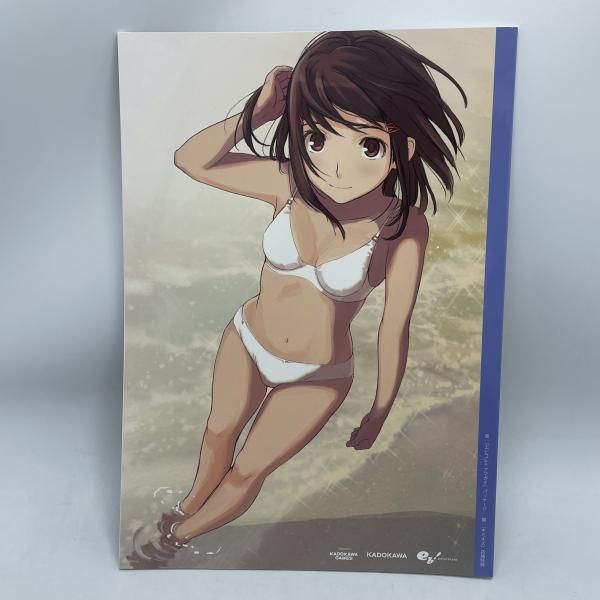 PSV）ｱﾏｶﾞﾐ 注文 ｴﾋﾞｺﾚ+/初回特典・高山箕犀ｲﾗｽﾄ集+着せ替えｼﾞｬｹｯﾄ[92]