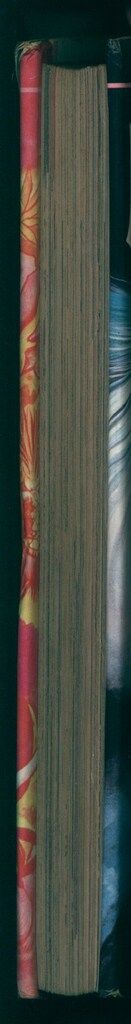 立風書房 ジャガーバックス 辰巳一彦 魔術妖術大図鑑 カバー付