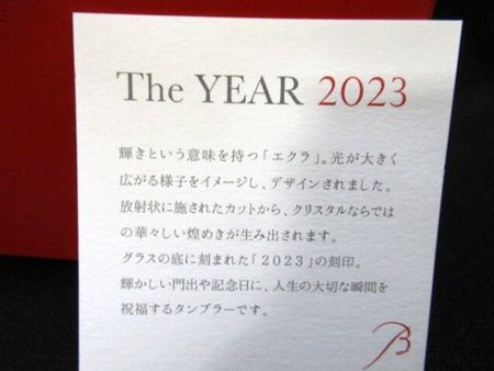 バカラ Baccarat エクラ ペアグラス タンブラー 2025 高8 5 口径9 cm BOX入