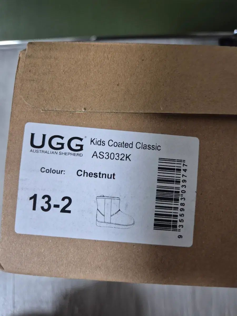 オーストラリアアグ