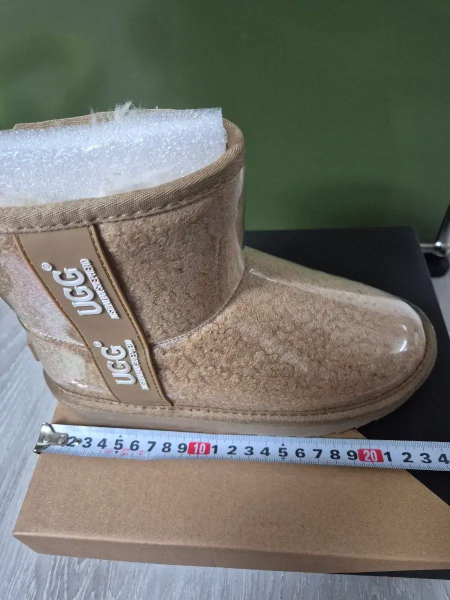 オーストラリアアグ