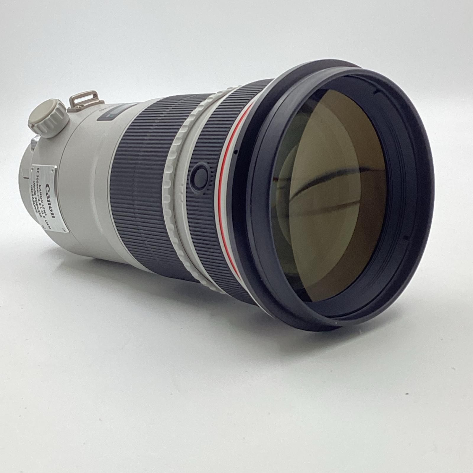 Canon EF 300 mm F 2.8 L IS II USM
