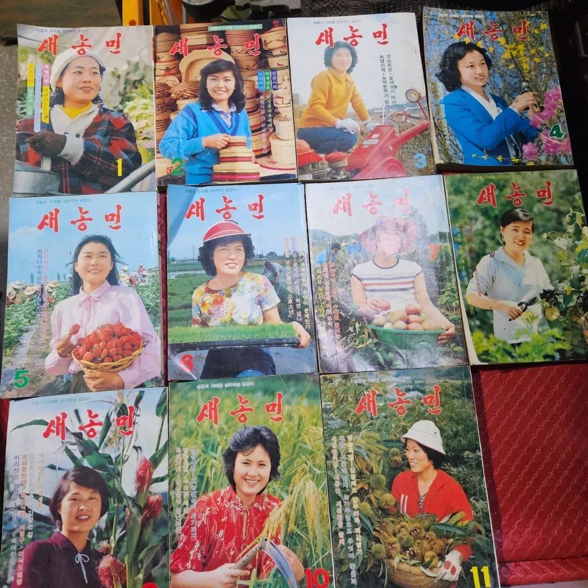 新農民 雑誌 1980年代 1 11巻