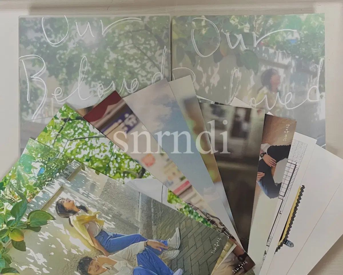 その年、私たちは スクリプトブック