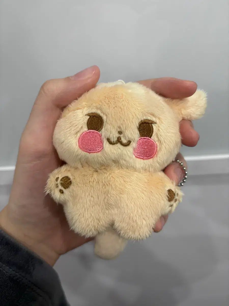 【数量限定，格安】 ZEROBASEONE(ゼロベースワン・ZB1・ゼベワン) キム・ギュビン(KIM GYU VIN) ぬいぐるみ その他