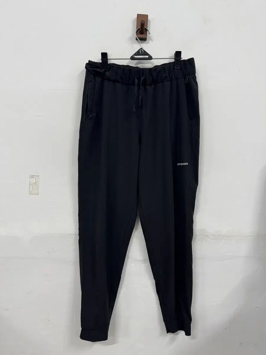 L パタゴニア テレボン ジョガーパンツ
