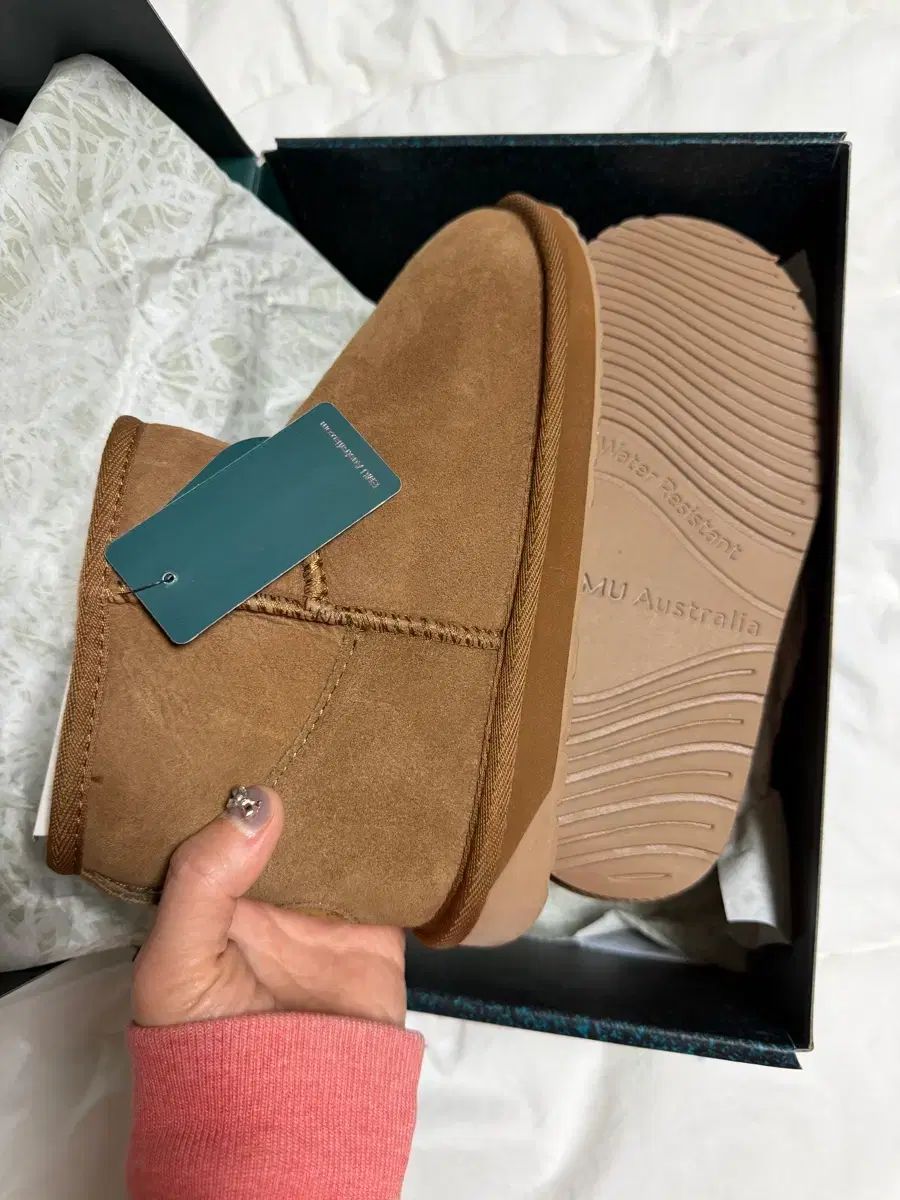 オーストラリアアグ EMU