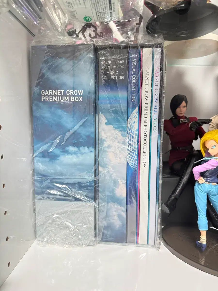 ガーネット カラス GARNET CROW PREMIUM BOX CD DV