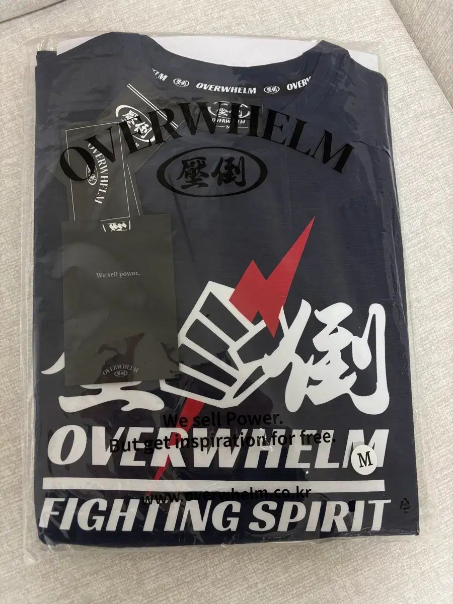 ポケモンセンター カナザワ ロゴピンズ ショップ 10個セット ミロカロス