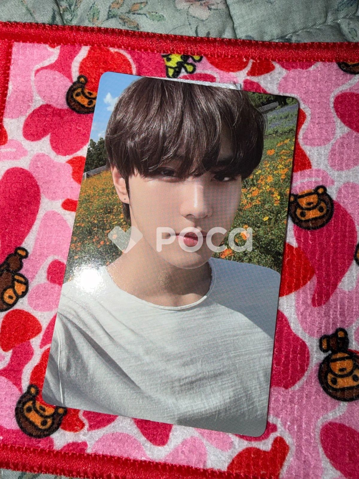 ENHYPEN ジョンウォン ORANGE BLOOD Weverse Albums ver. - メルカリ