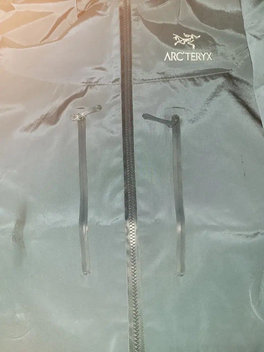 ARC TERYX アークテリクス ウィンドブレーカー ゴアテックス プロ アルファ SV