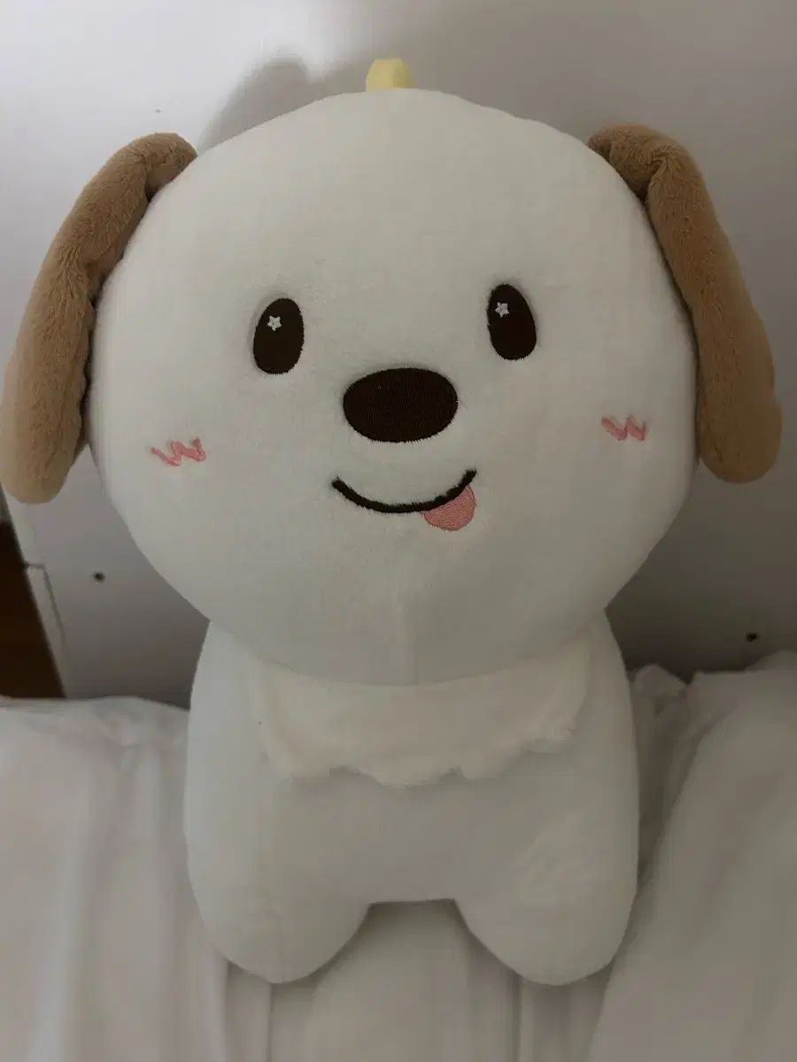 アウトレット RIIZE アントン 40cm 멍竜 RIIZE | 라이즈 Riize Anton