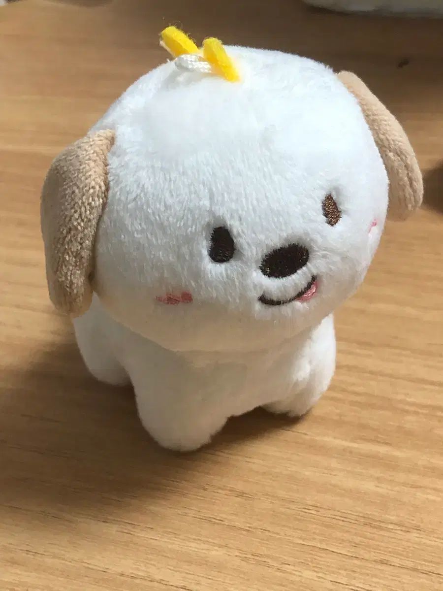 RIIZE アントン ぬいぐるみ アントン RIIZE ぬいぐるみ アントン国内