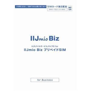 IMB 450 IIJmio Biz プリペイドSIM 30 GB 12ヶ月 SIM後日配送