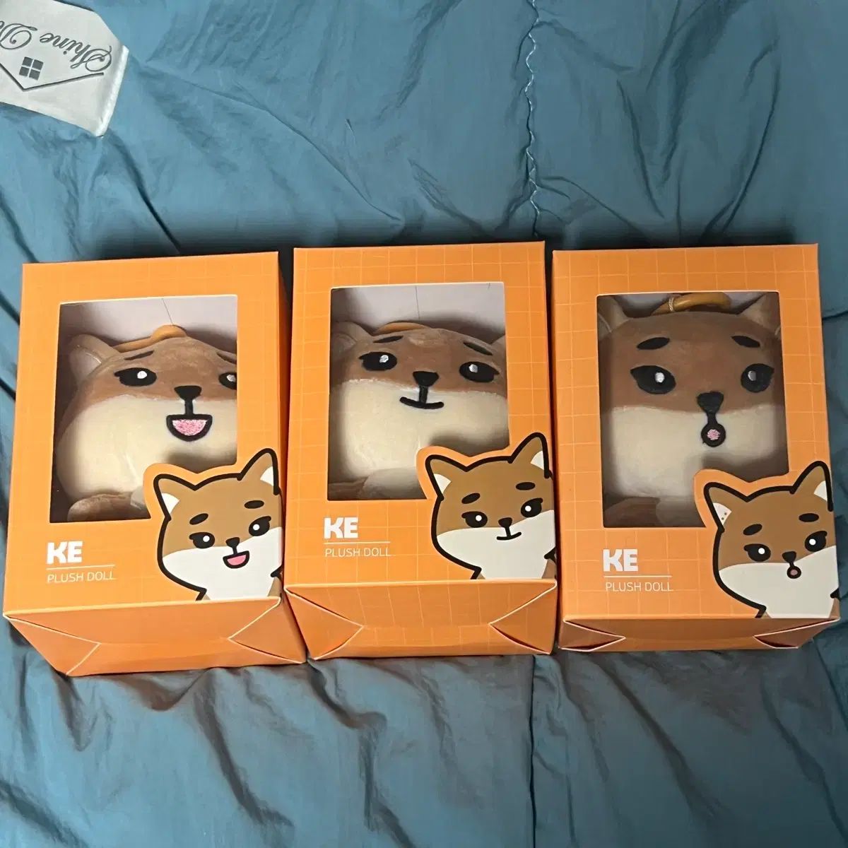 DAY 6 デイシックス デニマルズ ぬいぐるみ ケ 19 20 22 まとめ