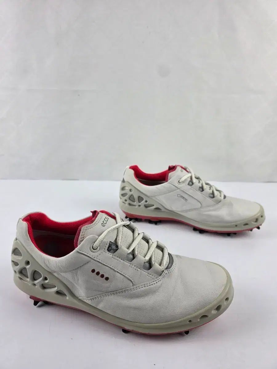 빈티지 245 エコー ウィメンズ ケージ ゴルフシューズ