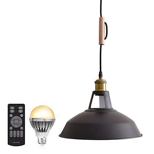 VENTOTA ペンダントライト 100 w相当 リモコン式 LED電球付き E 26 天井照明 リビング 吊り下げ照明 ダイニング 食卓用 レトロ インダストリアル ヴィンテージ コード調整 調光調色 LED Bene BK