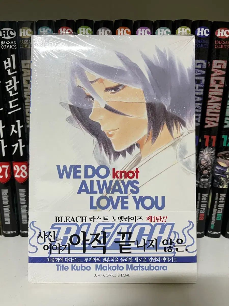 BLEACH ブリーチ WE DO knot 小説