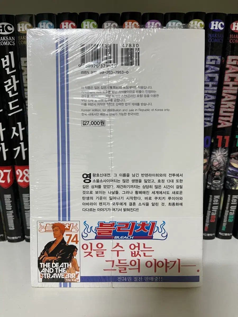 BLEACH ブリーチ WE DO knot 小説