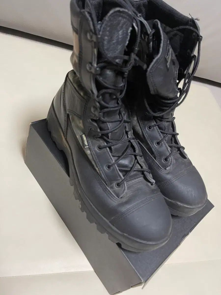 トレクスタ GORE