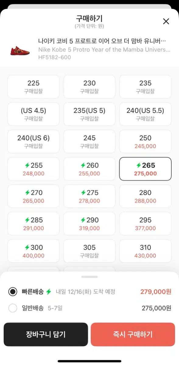 265 NIKE ナイキ コービー 5 プロトロ イヤー OF THE 맘바 ユニバーシティ レッド