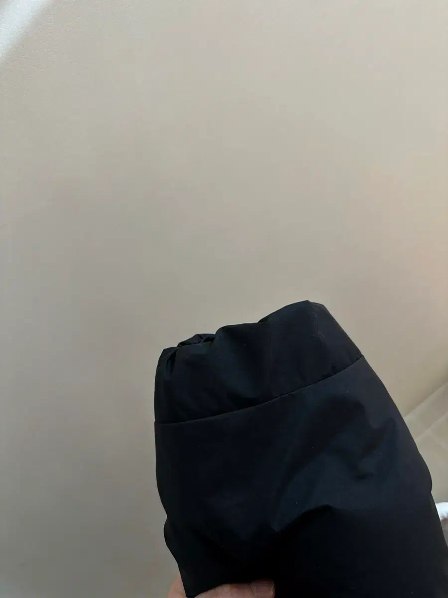 ARC TERYX アークテリクス トーリウムSV ブラック WHOフーディ L