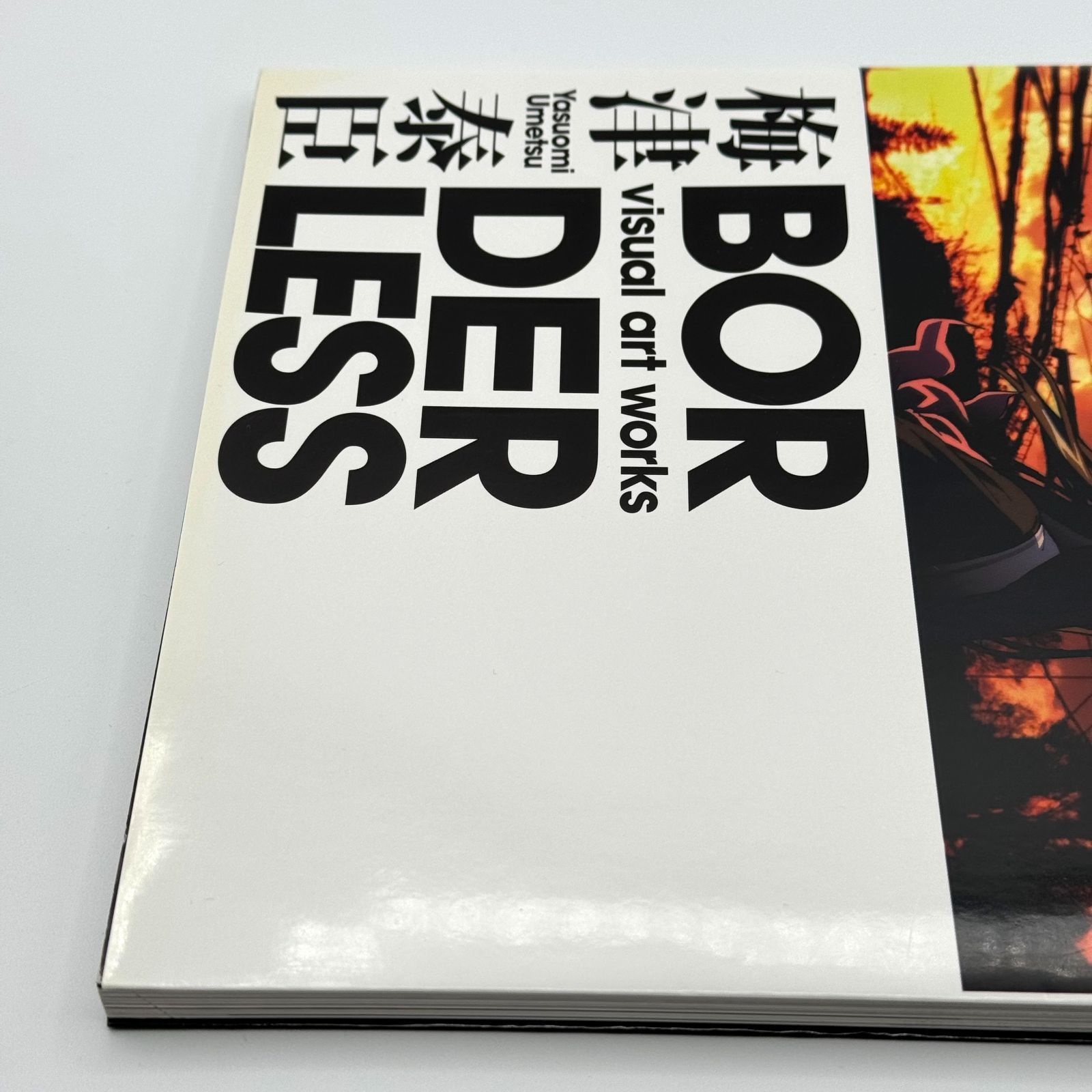 梅津泰臣 visual art works BORDERLESS 大型本 - メルカリ