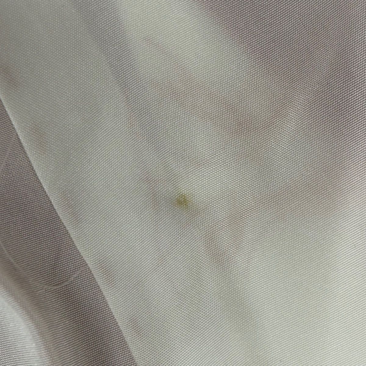  振袖 身丈156.5 cm 裄丈64 M 袷 紫峯 落款 蝶 梅 染め分け ぼかし 茜色 正絹 秀品 振袖 着物