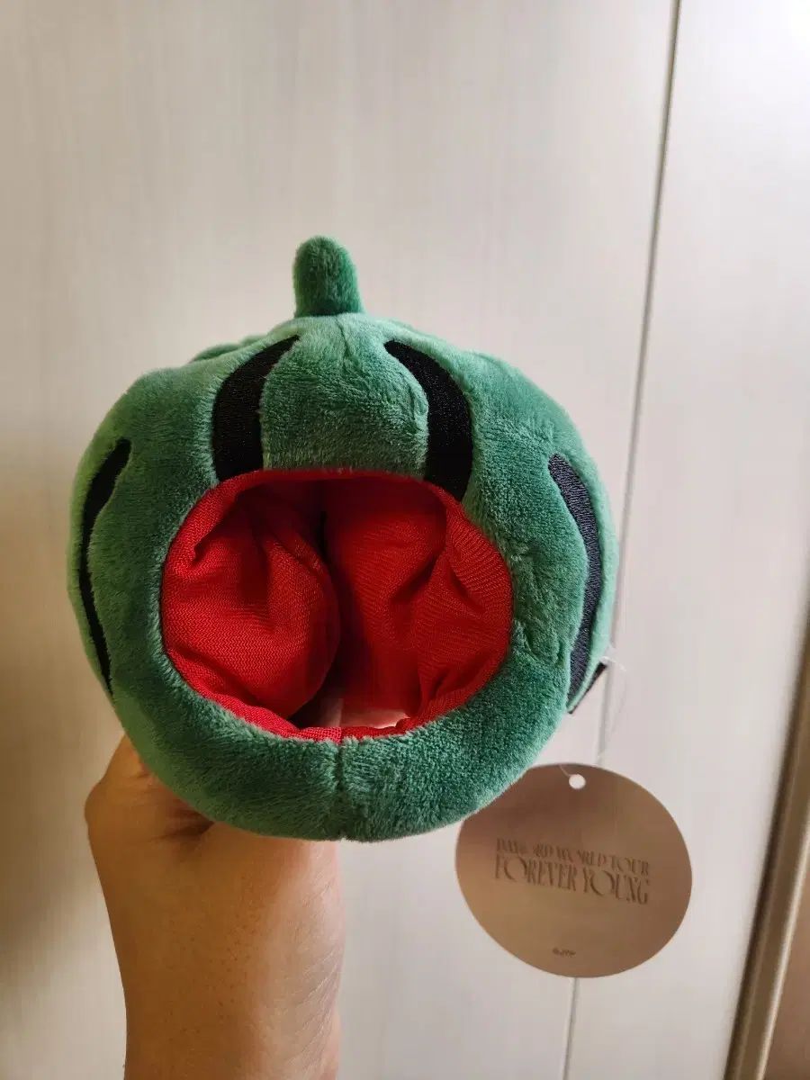 定番人気，お買い得 DAY6（デイシックス）グッズ あんさんぶるスターズ！！(あんスタ) スイカ その他
