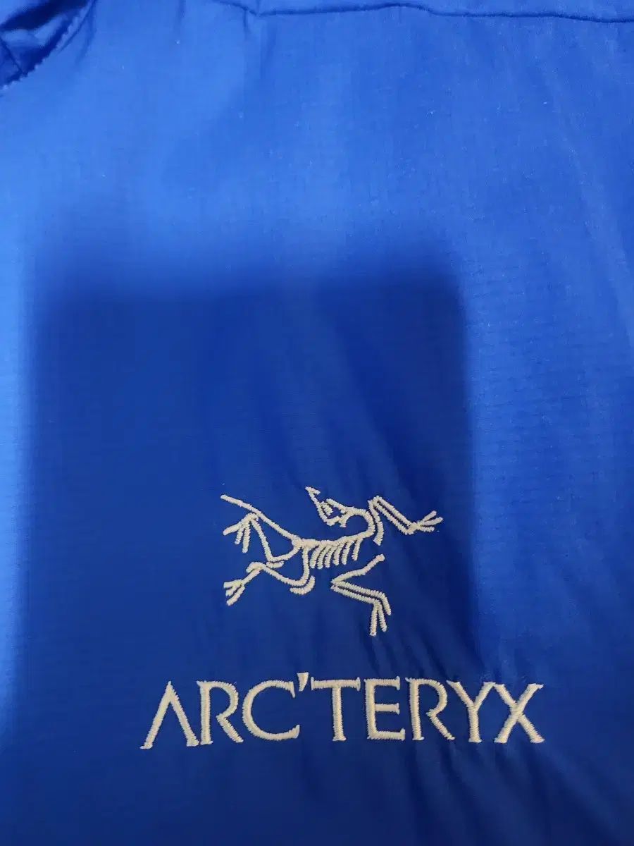 ARC TERYX アークテリクス Atom lt アトム フリューイディティ Lサイズ