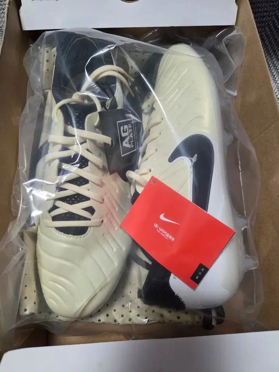 (255) ナイキ レジェンド10 エリート AG